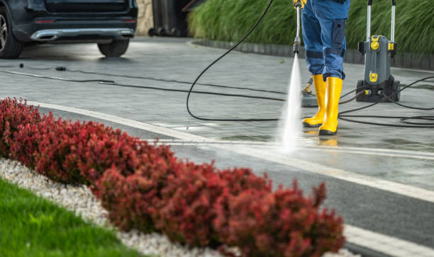 Best Driveway Pressure Washing  in North Sea, NY